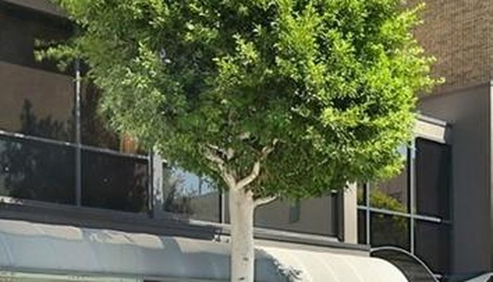 Office Space for Rent at 420 N Camden Dr Beverly Hills, CA 90210 - #6