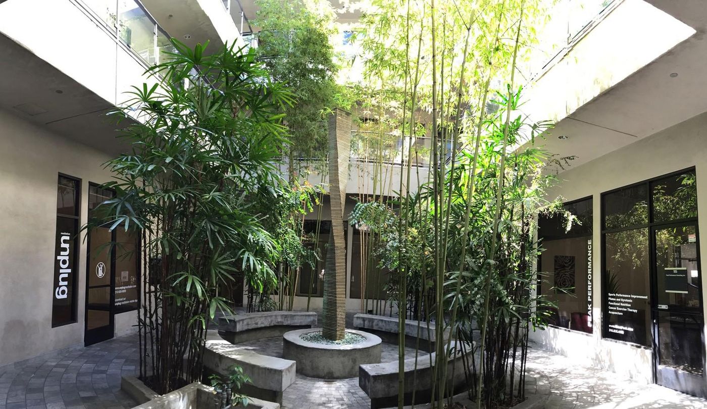 Wilshire Carmelina Courtyard photo 4