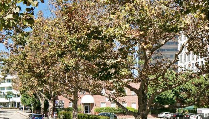Office Space for Rent at 9730 Wilshire Blvd Beverly Hills, CA 90212 - #3