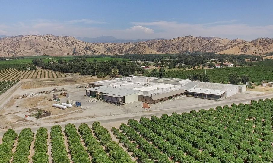 Citrus Packing & Cold Storage Facility