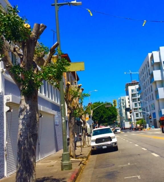 PICO & BROADWAY photo 2