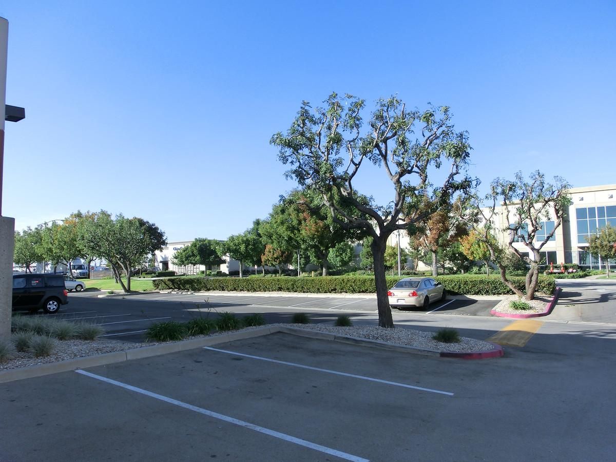 Pepper Grove Business Park photo 4