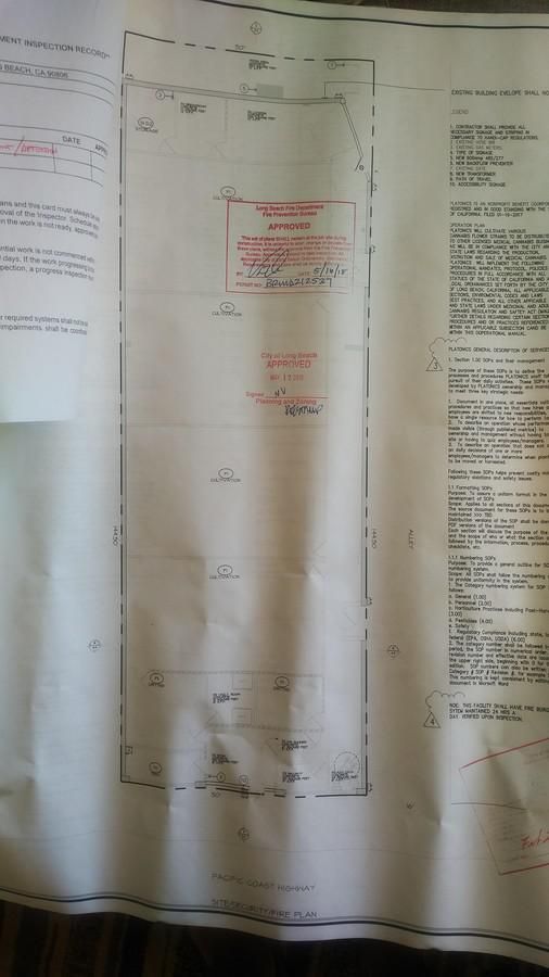 Cannabis Business License Approved !! photo 3