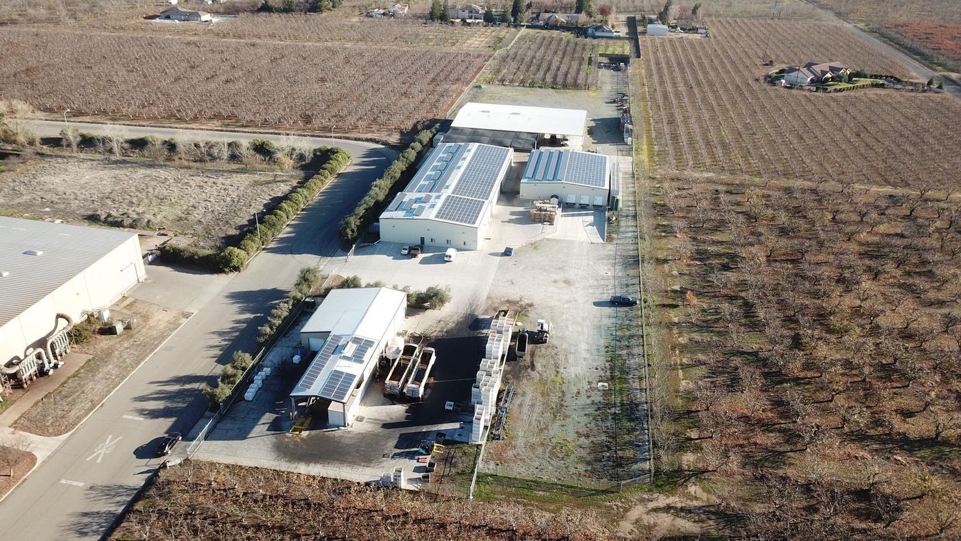 Bozzano Olive Oil Ranch photo 1