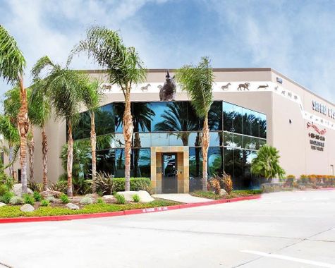 Safari Business Center - Building 16