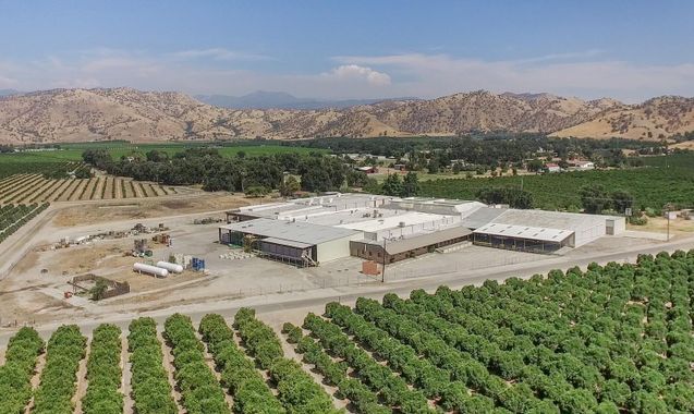 Citrus Packing & Cold Storage Facility